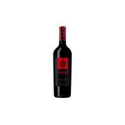 Bodega Numanthia Termes 2019 0,75L