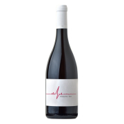 Anonym Pince Életjel Pinot Noir 0,75L