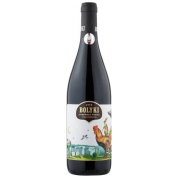 Bolyki Cabernet Franc 2019 0,75L