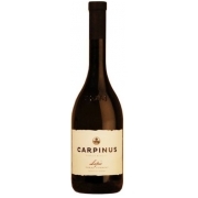 Carpinus Lapis Furmint bor 2018