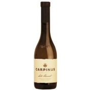 Carpinus Late Harvest bor 2015