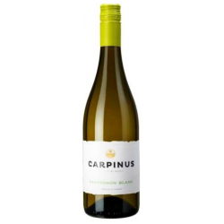 Carpinus Sauvignon Blanc 2020 0,75L