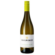 Carpinus Sauvignon Blanc 2020 0,75L