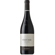 St. Andrea Csakegyszóval Pinot Noir Száraz Vörösbor 0,75L 2020