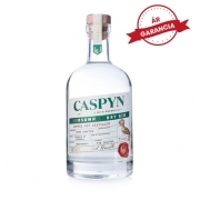 Caspyn Midsummer Dry Gin 40% 0,7l