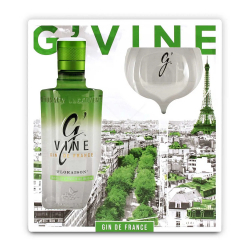 G’Vine - Florasion Gin 0,7L DD+Pohár