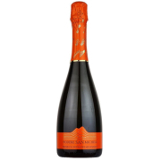 Dissegna Prosecco San Michele Extra Dry Doc 2022 (Bio) 0,75L