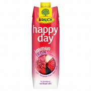 Rauch Happy Day Immun Iron Vegyes Gyümölcsnektár C-Vitaminnal És Vassal 1 L